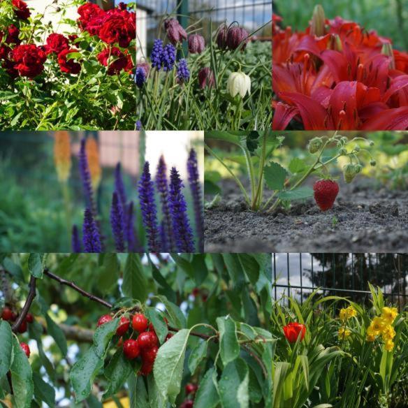 Gartenblick Trebbin المظهر الخارجي الصورة