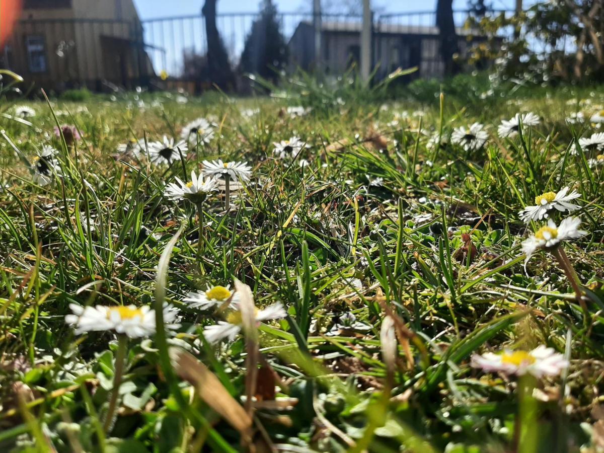 Gartenblick Trebbin المظهر الخارجي الصورة