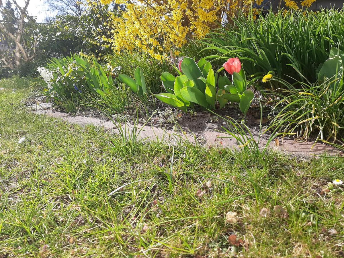 Gartenblick Trebbin المظهر الخارجي الصورة